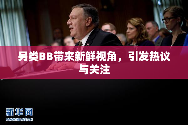 另类BB带来新鲜视角，引发热议与关注