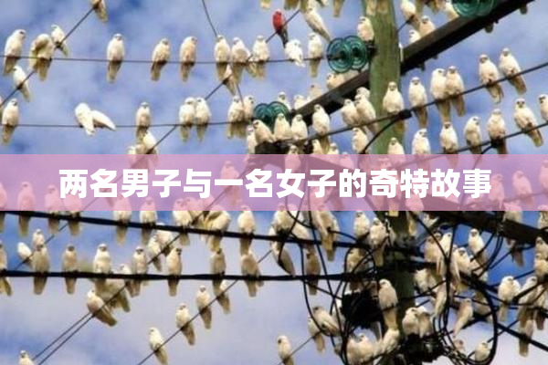两名男子与一名女子的奇特故事