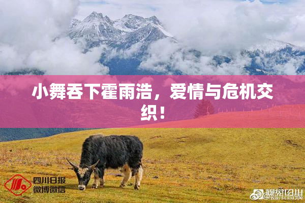 小舞吞下霍雨浩，爱情与危机交织！
