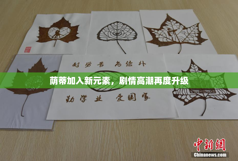 荫蒂加入新元素，剧情高潮再度升级