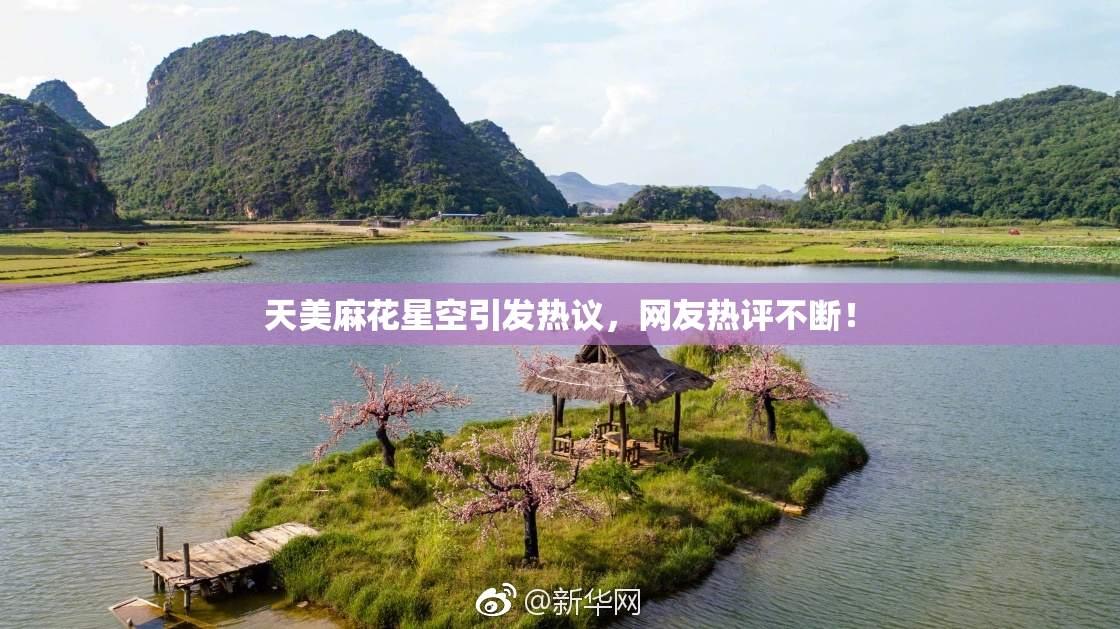 天美麻花星空引发热议，网友热评不断！