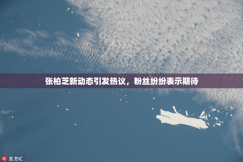张柏芝新动态引发热议，粉丝纷纷表示期待