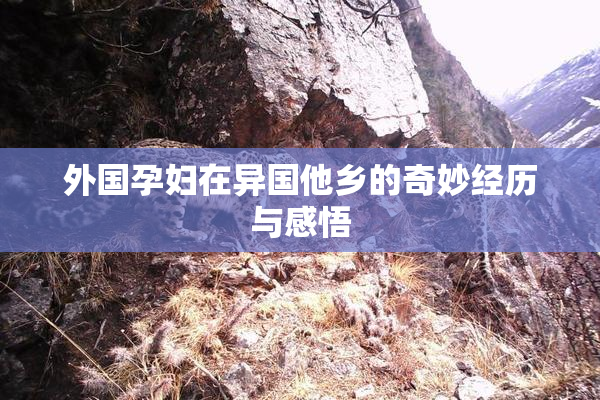 外国孕妇在异国他乡的奇妙经历与感悟