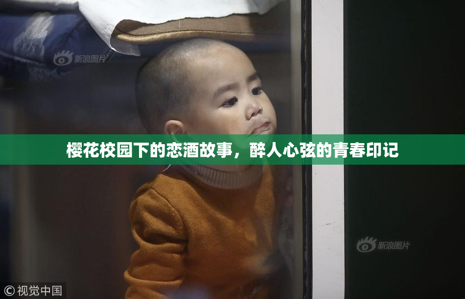 樱花校园下的恋酒故事，醉人心弦的青春印记