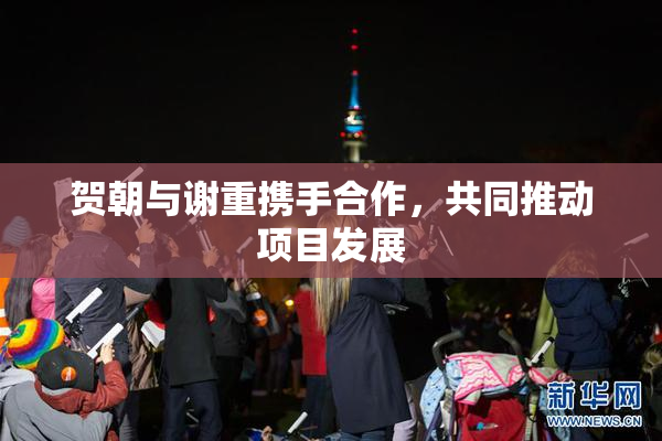 贺朝与谢重携手合作，共同推动项目发展