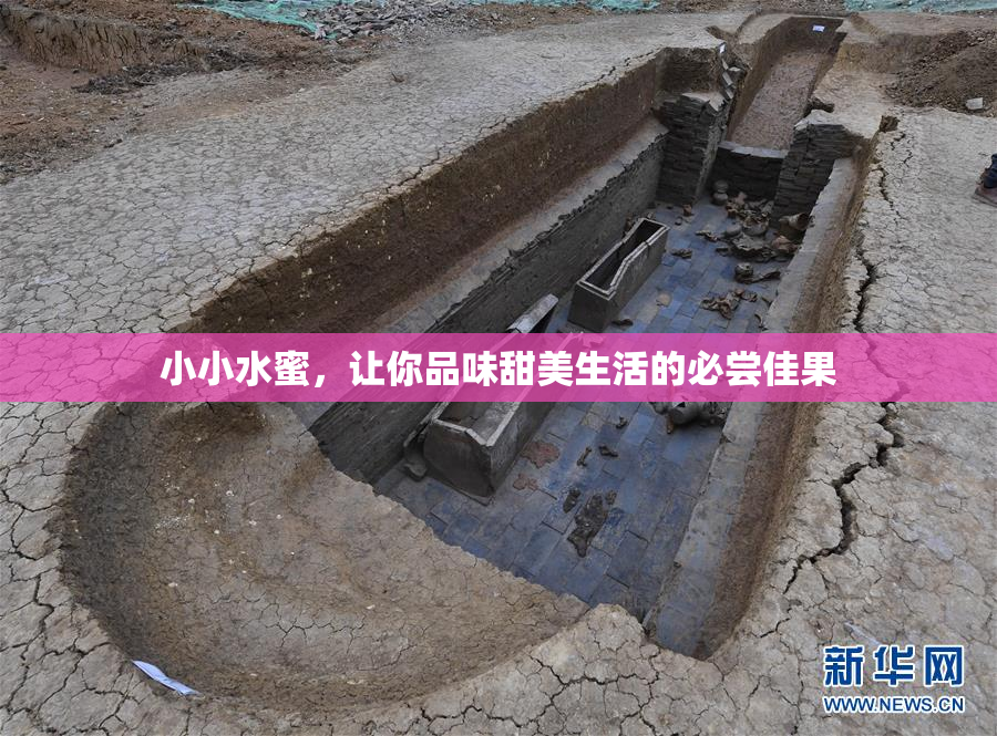 小小水蜜，让你品味甜美生活的必尝佳果