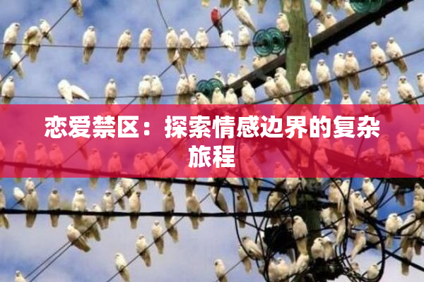 恋爱禁区：探索情感边界的复杂旅程