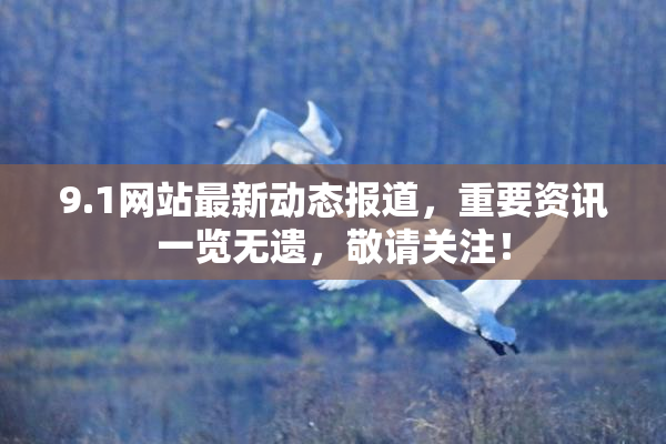 9.1网站最新动态报道，重要资讯一览无遗，敬请关注！