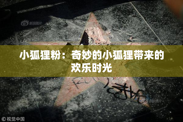 小狐狸粉：奇妙的小狐狸带来的欢乐时光