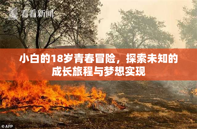 小白的18岁青春冒险，探索未知的成长旅程与梦想实现