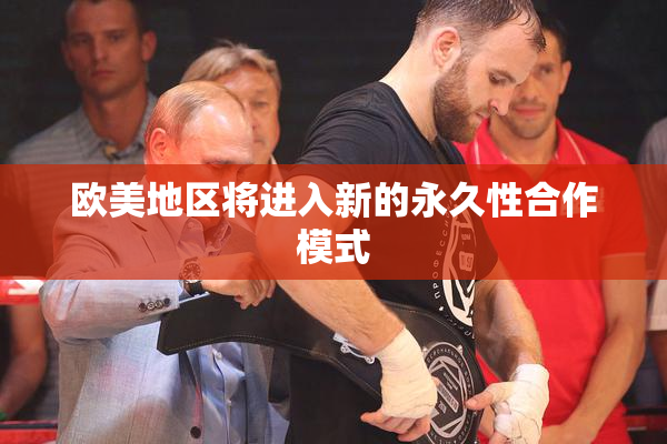欧美地区将进入新的永久性合作模式