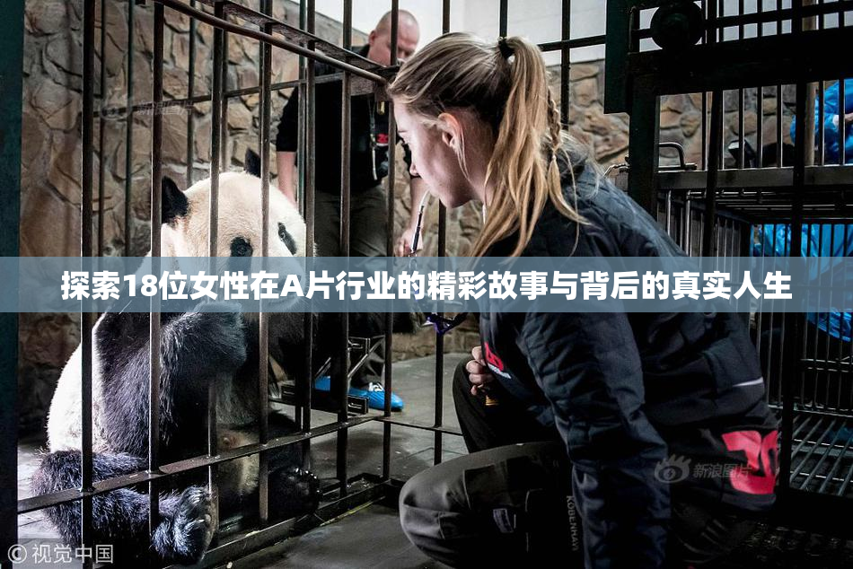 探索18位女性在A片行业的精彩故事与背后的真实人生