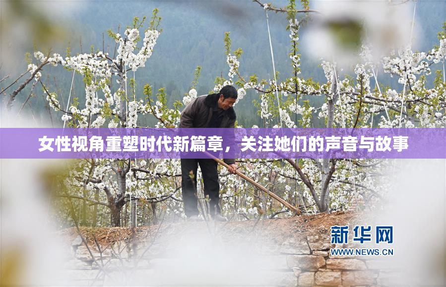 女性视角重塑时代新篇章，关注她们的声音与故事