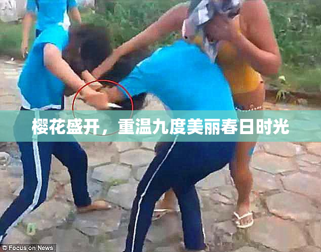 樱花盛开，重温九度美丽春日时光