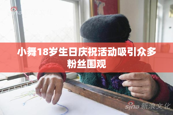 小舞18岁生日庆祝活动吸引众多粉丝围观