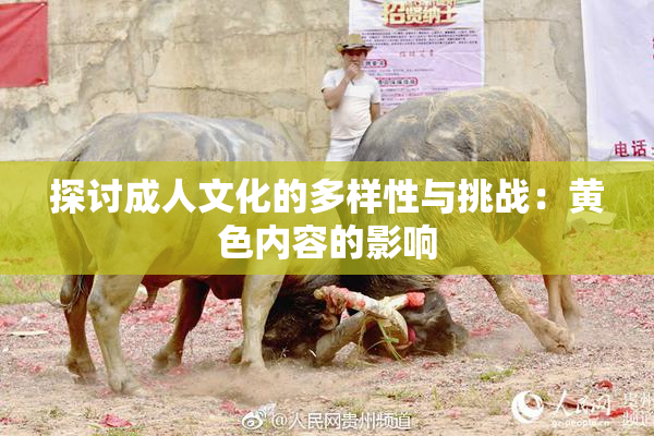 探讨成人文化的多样性与挑战：黄色内容的影响