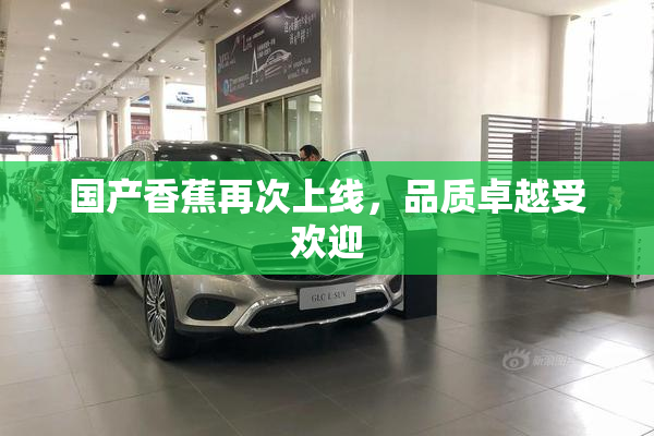国产香蕉再次上线，品质卓越受欢迎