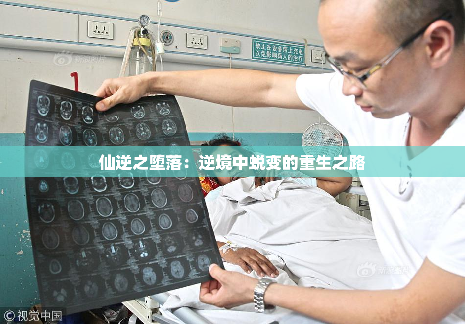 仙逆之堕落：逆境中蜕变的重生之路