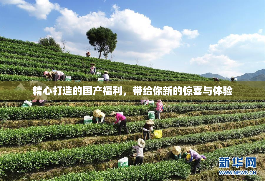 精心打造的国产福利，带给你新的惊喜与体验