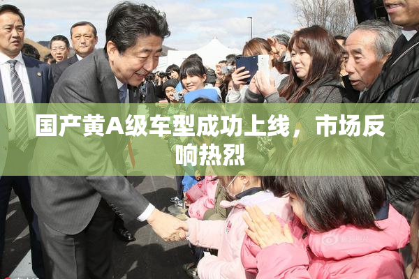 国产黄A级车型成功上线，市场反响热烈