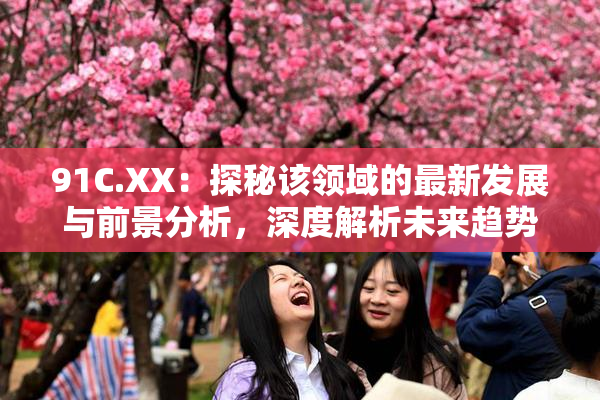 91C.XX：探秘该领域的最新发展与前景分析，深度解析未来趋势！