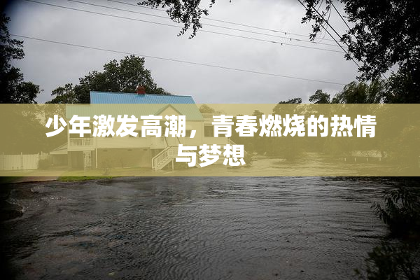 少年激发高潮，青春燃烧的热情与梦想