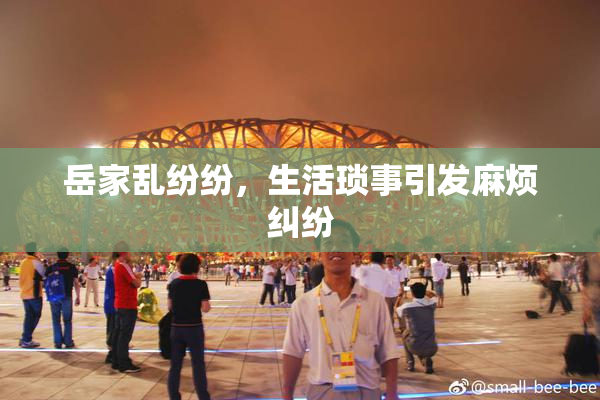 岳家乱纷纷，生活琐事引发麻烦纠纷