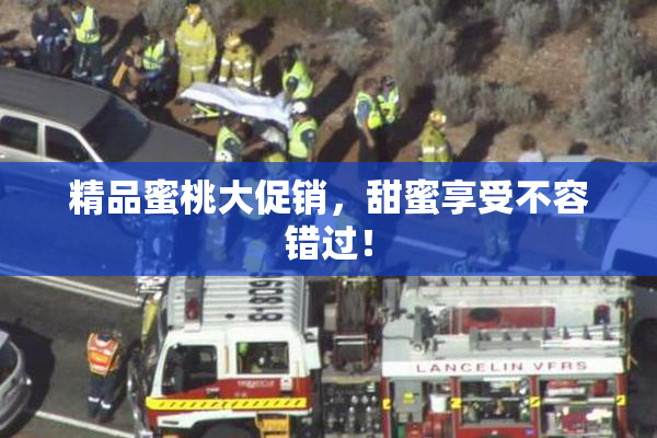 精品蜜桃大促销，甜蜜享受不容错过！