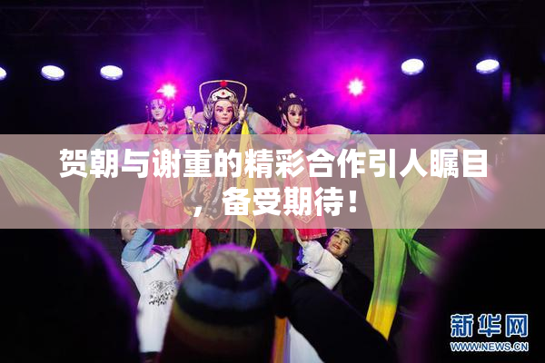 贺朝与谢重的精彩合作引人瞩目，备受期待！