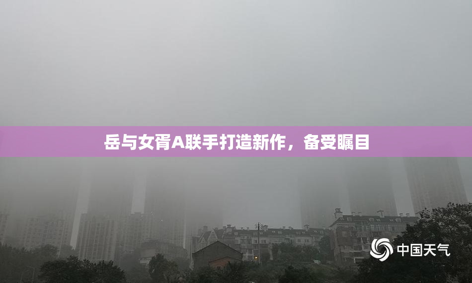 岳与女胥A联手打造新作，备受瞩目