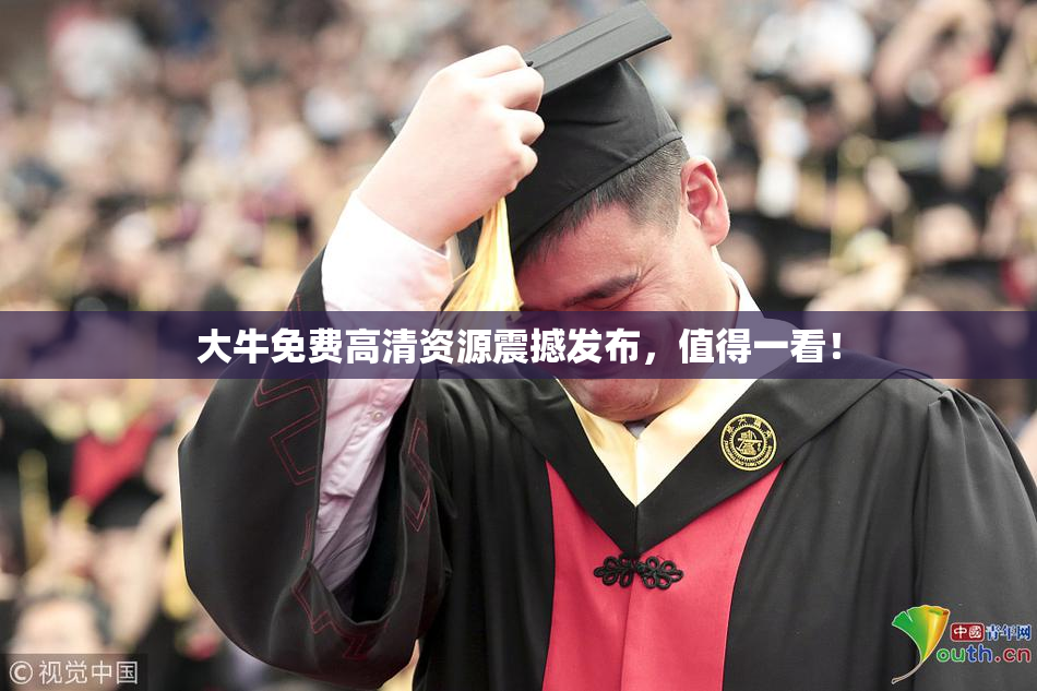 大牛免费高清资源震撼发布，值得一看！