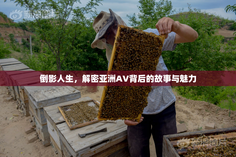 倒影人生，解密亚洲AV背后的故事与魅力