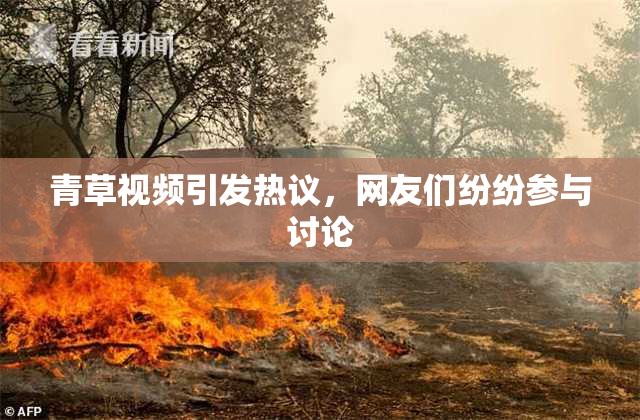 青草视频引发热议，网友们纷纷参与讨论