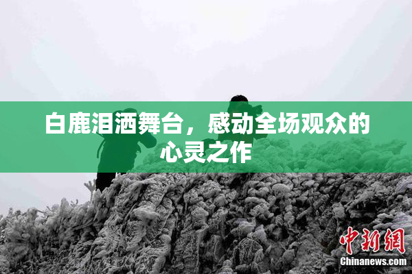 白鹿泪洒舞台，感动全场观众的心灵之作