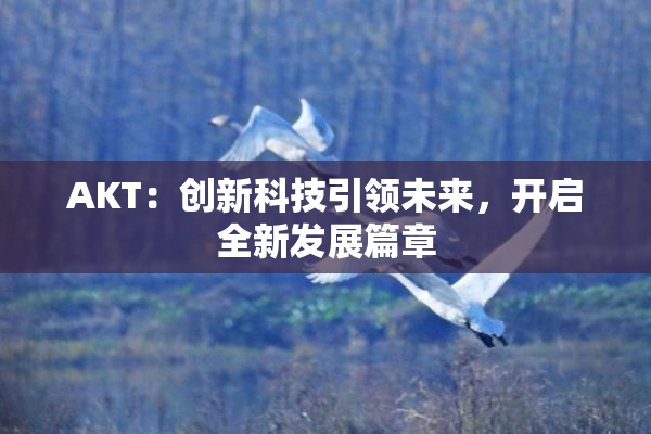 AKT：创新科技引领未来，开启全新发展篇章
