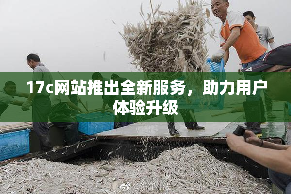 17c网站推出全新服务，助力用户体验升级