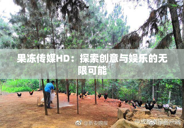 果冻传媒HD：探索创意与娱乐的无限可能
