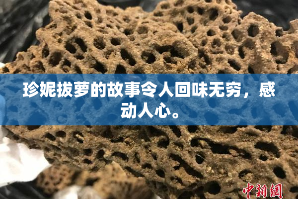 珍妮拔萝的故事令人回味无穷，感动人心。