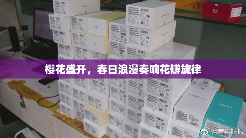 樱花盛开，春日浪漫奏响花瓣旋律