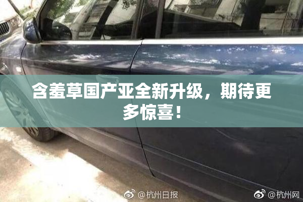 含羞草国产亚全新升级，期待更多惊喜！