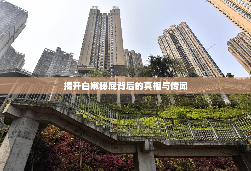 揭开白嫩秘屁背后的真相与传闻