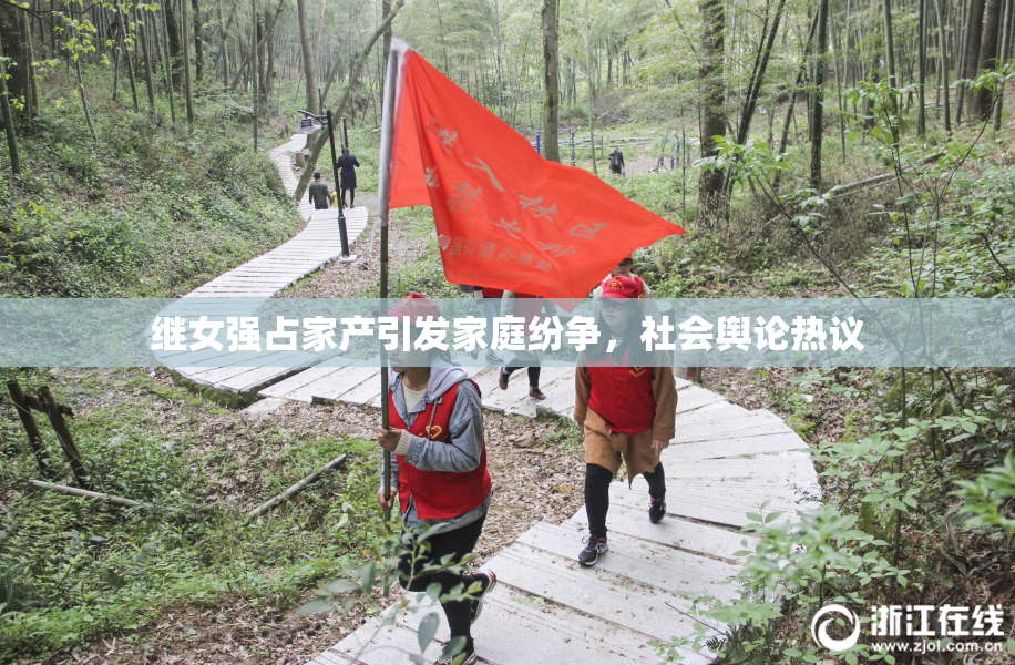 继女强占家产引发家庭纷争，社会舆论热议