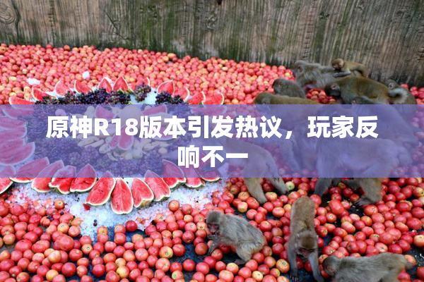原神R18版本引发热议，玩家反响不一