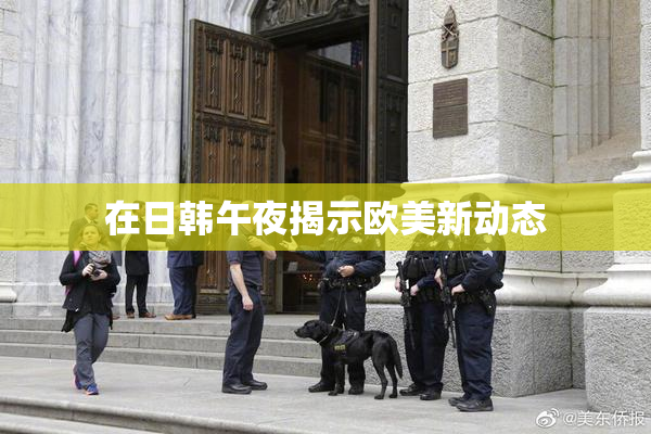 在日韩午夜揭示欧美新动态