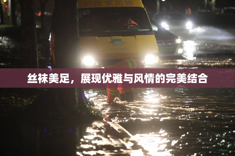 丝袜美足，展现优雅与风情的完美结合
