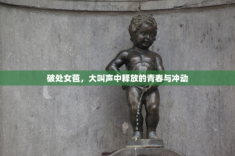 破处女苞，大叫声中释放的青春与冲动