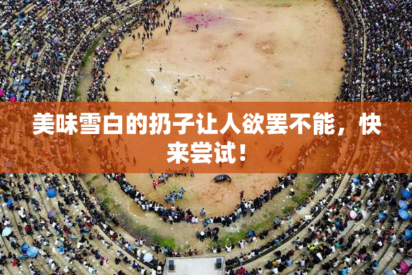 美味雪白的扔子让人欲罢不能，快来尝试！