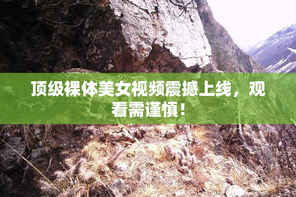 顶级裸体美女视频震撼上线，观看需谨慎！