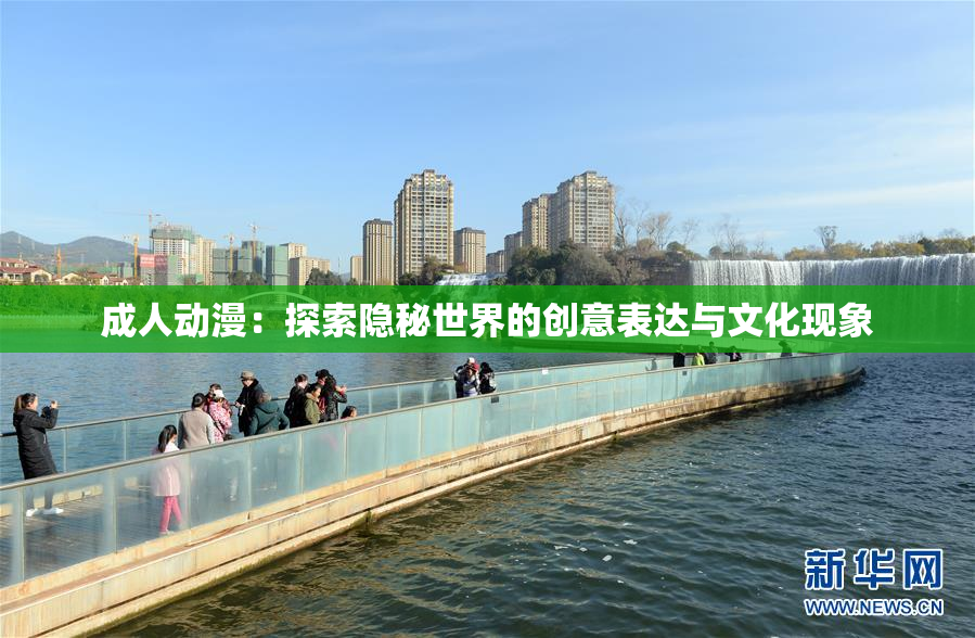 成人动漫：探索隐秘世界的创意表达与文化现象
