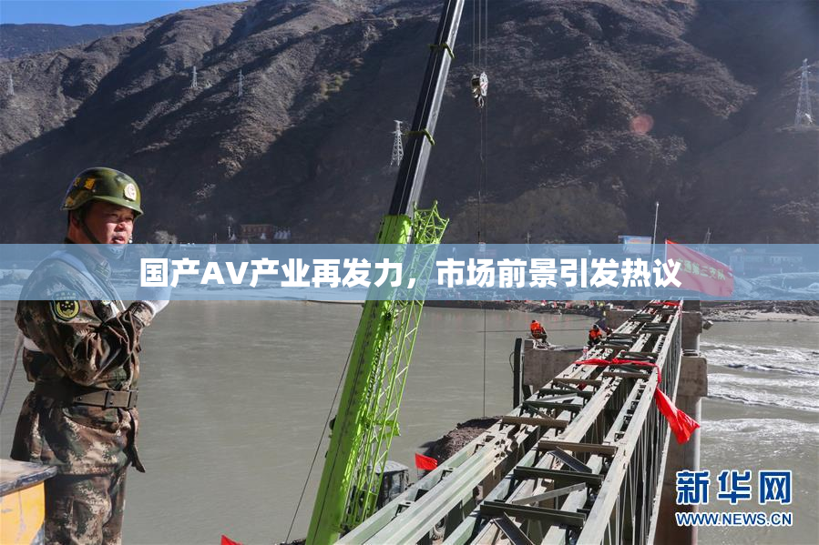 国产AV产业再发力，市场前景引发热议